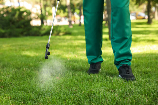 Best Local Pest Control Services  in Brundidge, AL