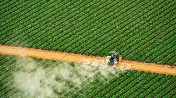 Pest Control Cost in Brundidge, AL