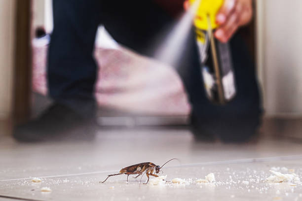 Best Residential Pest Control  in Brundidge, AL