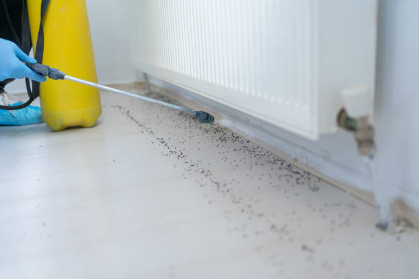 Best Emergency Pest Control  in Brundidge, AL