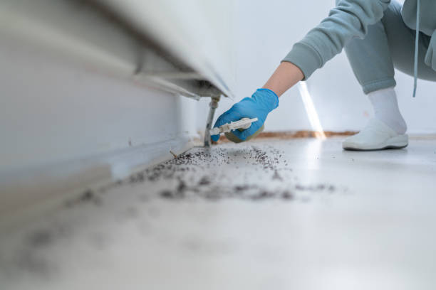 Best Pest Prevention Services  in Brundidge, AL