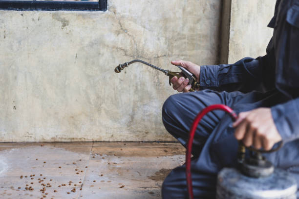 Best Affordable Pest Control Services  in Brundidge, AL