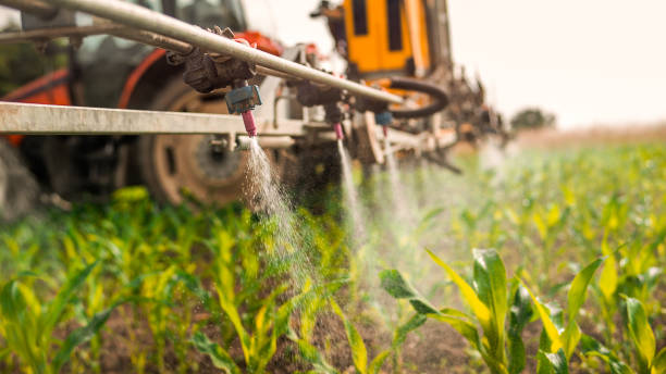 Reliable Brundidge, AL Pest Control Solutions